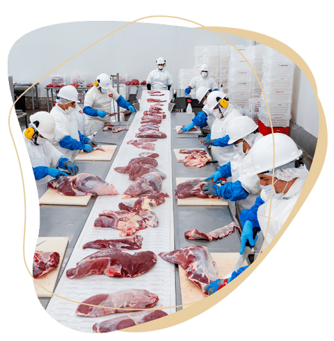 LIMPIEZA Y DESINFECCIONMATERIAS